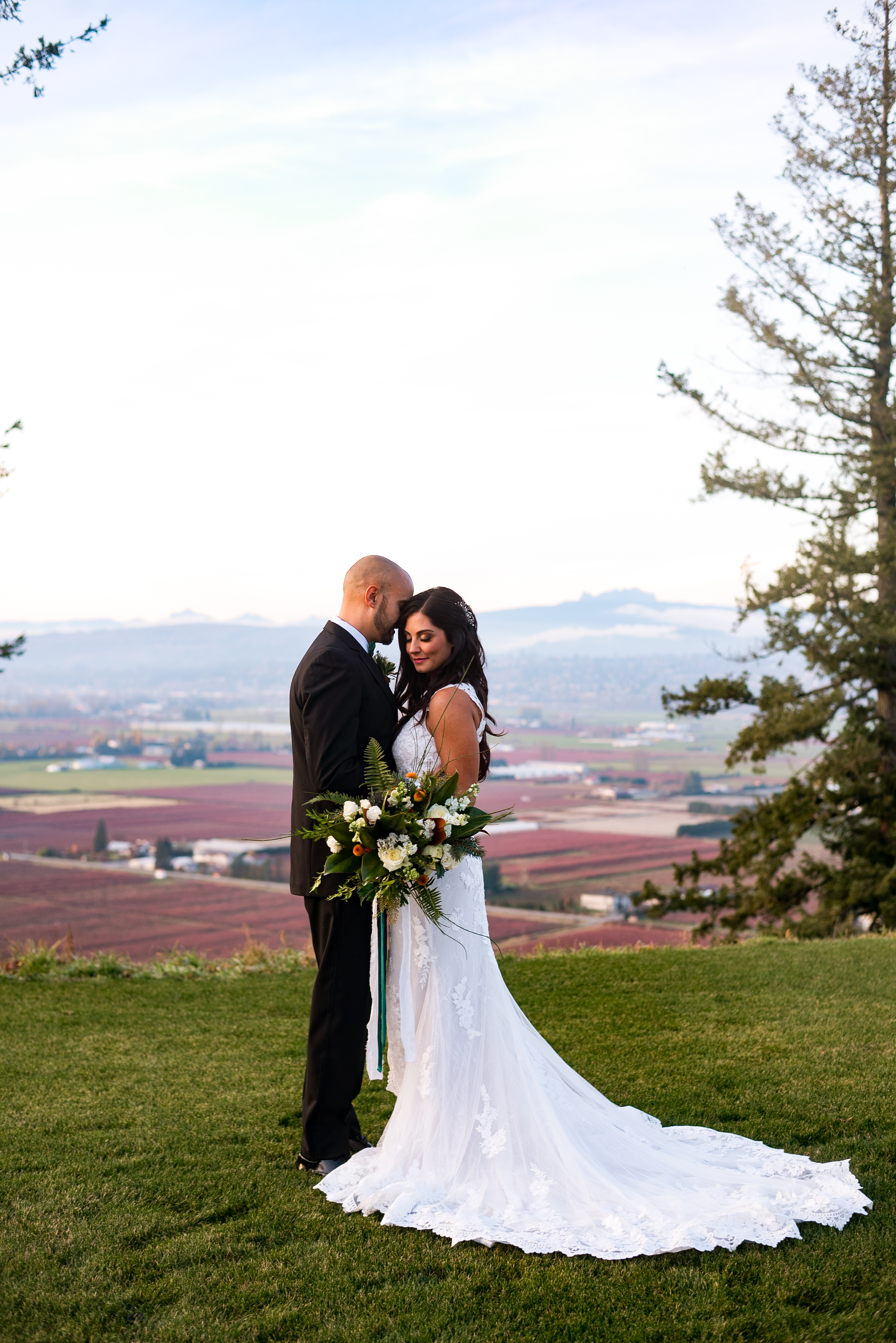 bos-estate-vineyard-wedding-1