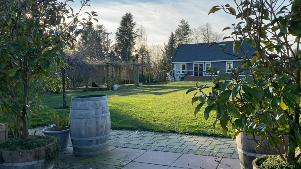 A view of the guesthouse with green lawns and a pergola in the sunlight, with a wine barrel and potted trees in the foreground