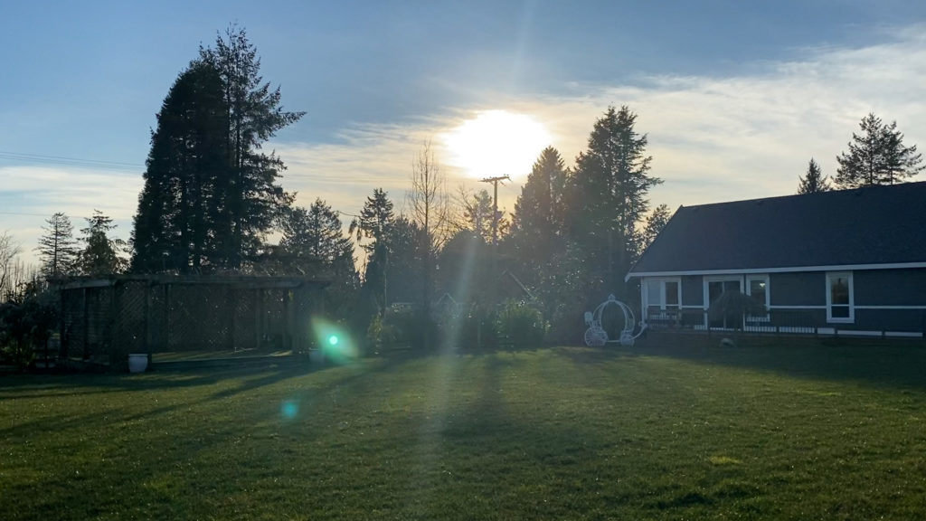 A view of the grassy lawn and guesthouse in the early evening light
